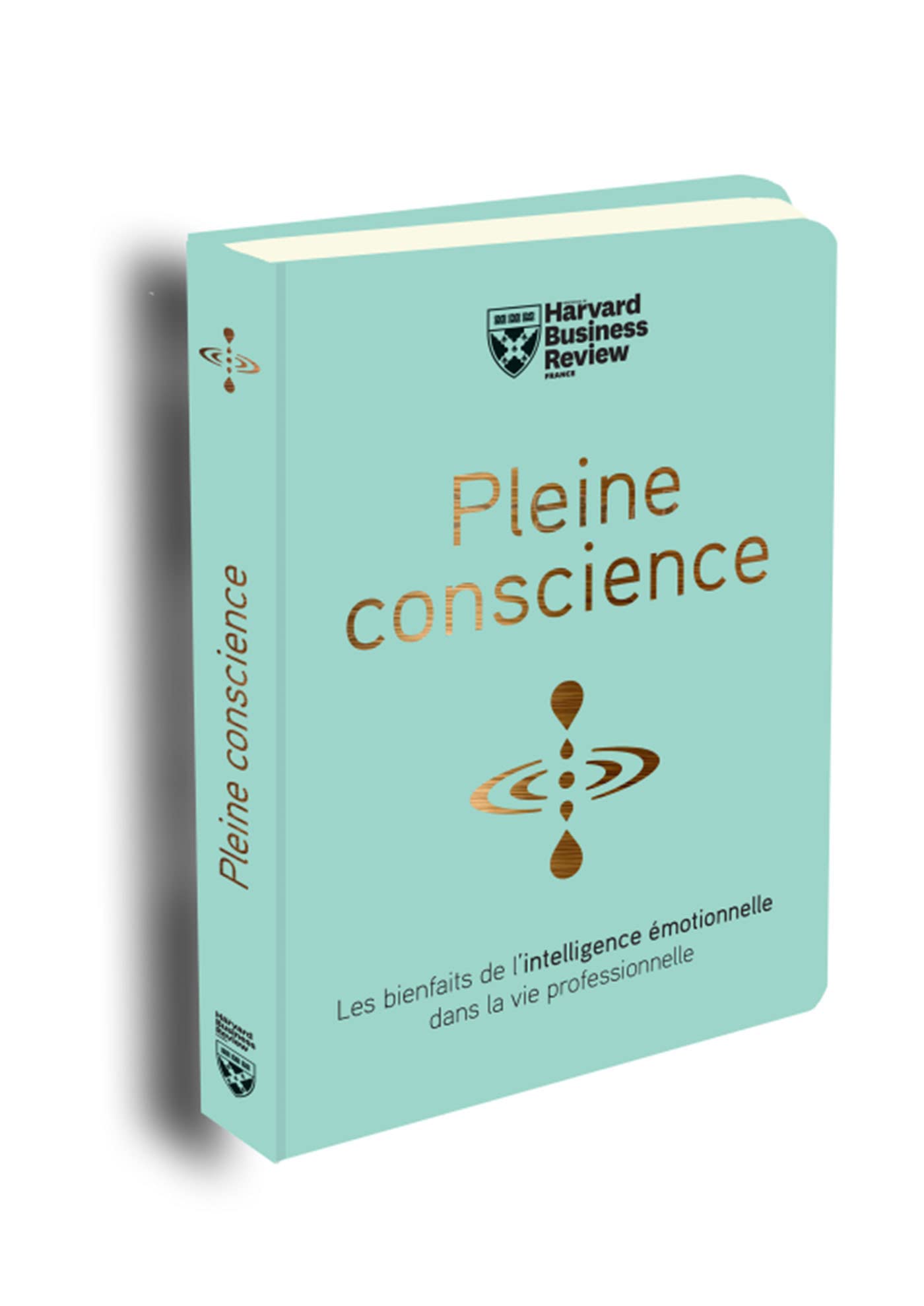 Pleine conscience 9782810425006