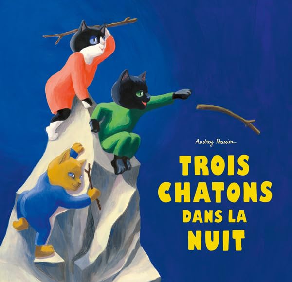 Trois chatons dans la nuit 9782211330749