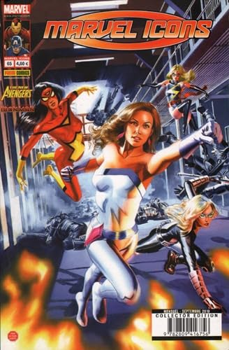 Marvel icons 65 9782809416756