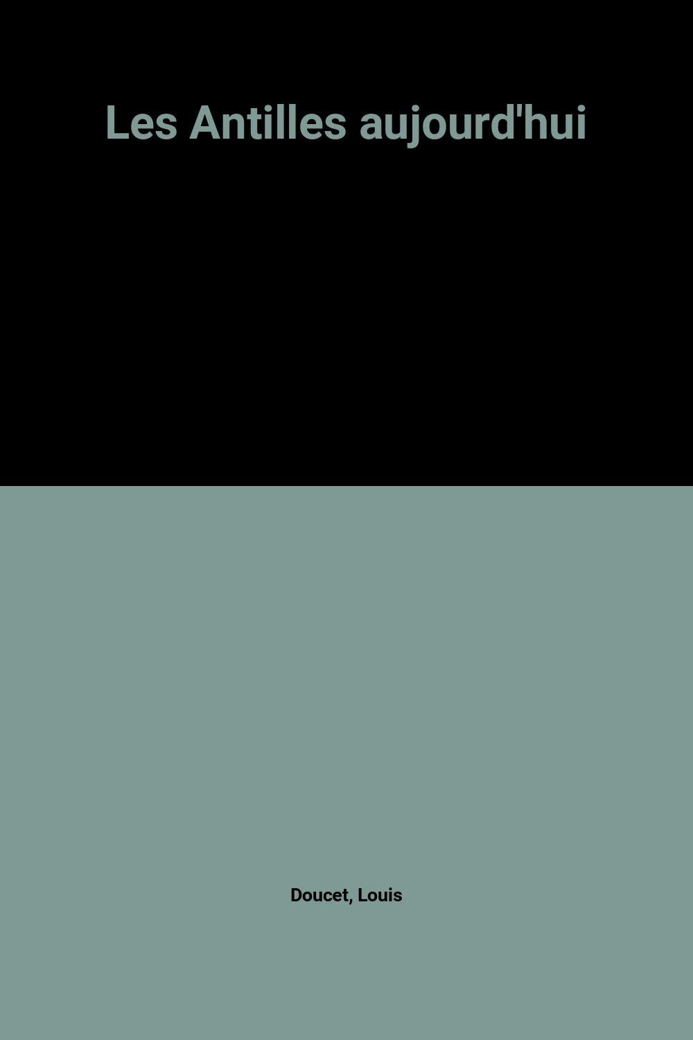 Les Antilles aujourd'hui 9782869501898
