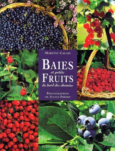 Baies et petits fruits du bord des chemins 9782842770532