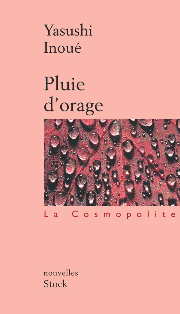 Pluie d'orage 9782234053397