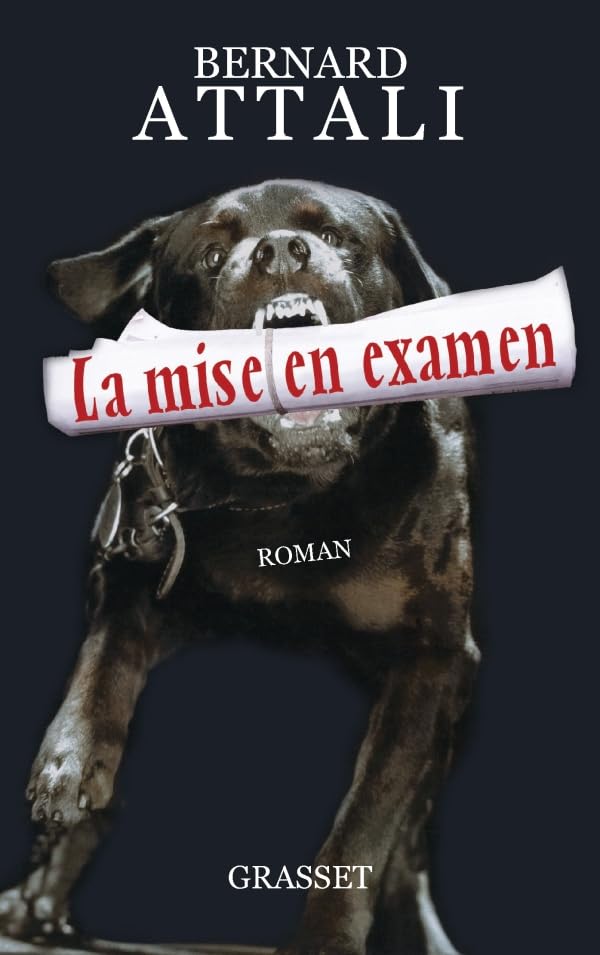 La mise en examen 9782246799894