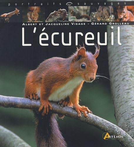 L'écureuil 9782844163103