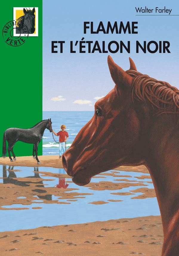 Flamme et l'étalon noir 9782012003323
