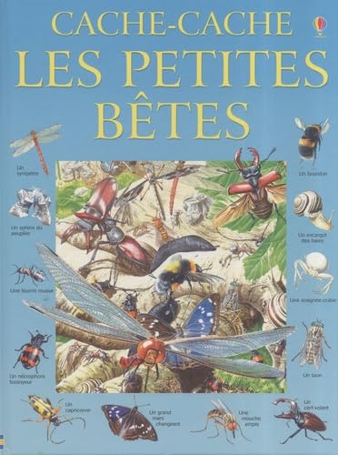 Cache-cache les petites bêtes 9780746082683