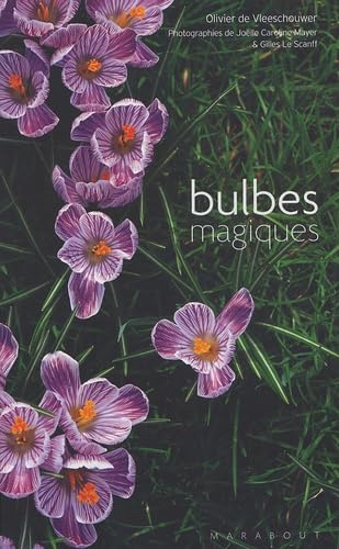 Bulbes magiques 9782501043502