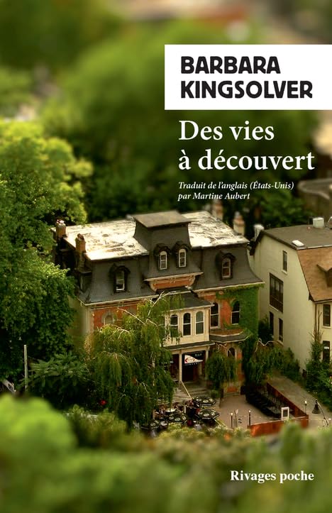 Des vies à découvert 9782743653828