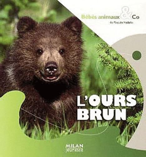 L'ours brun 9782745940780
