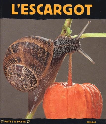 L'Escargot 9782745905970