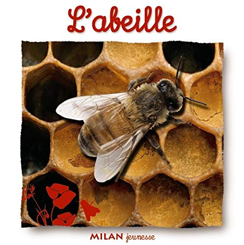 L'Abeille 9782745909671