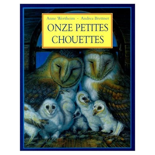 Onze petites chouettes 9782211055321