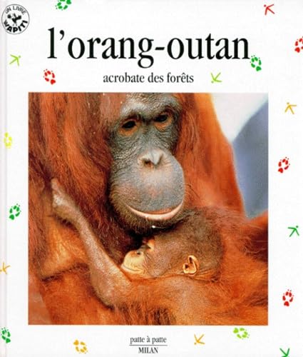L'Orang-Outan. Acrobate Des Forets 9782841134304