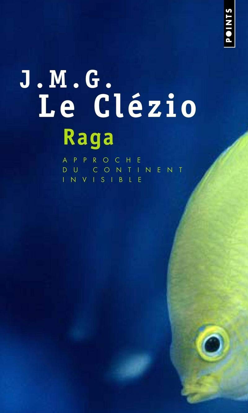 Raga. Approche du continent invisible 9782757806197
