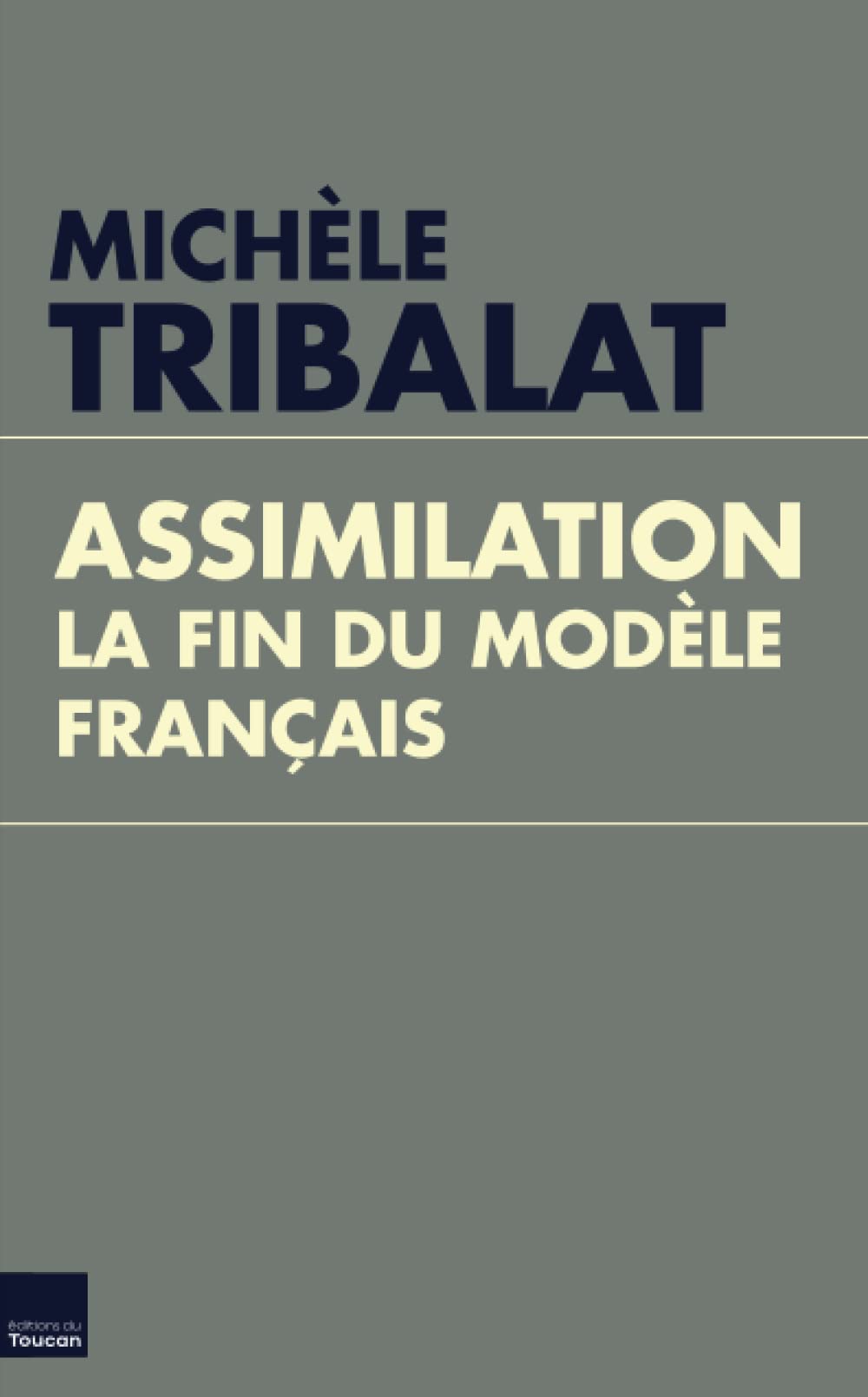 Assimilation : la fin du modèle français 9782810005536