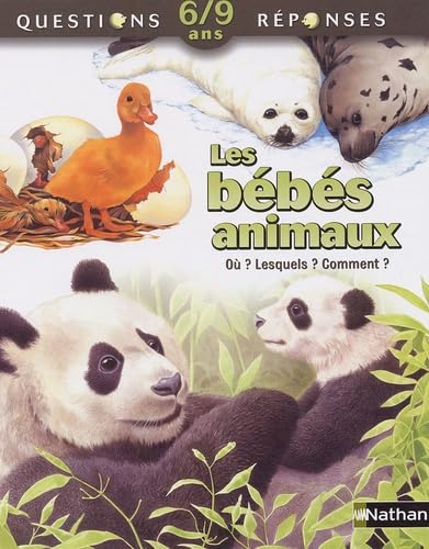 Les bébés animaux 9782092505908
