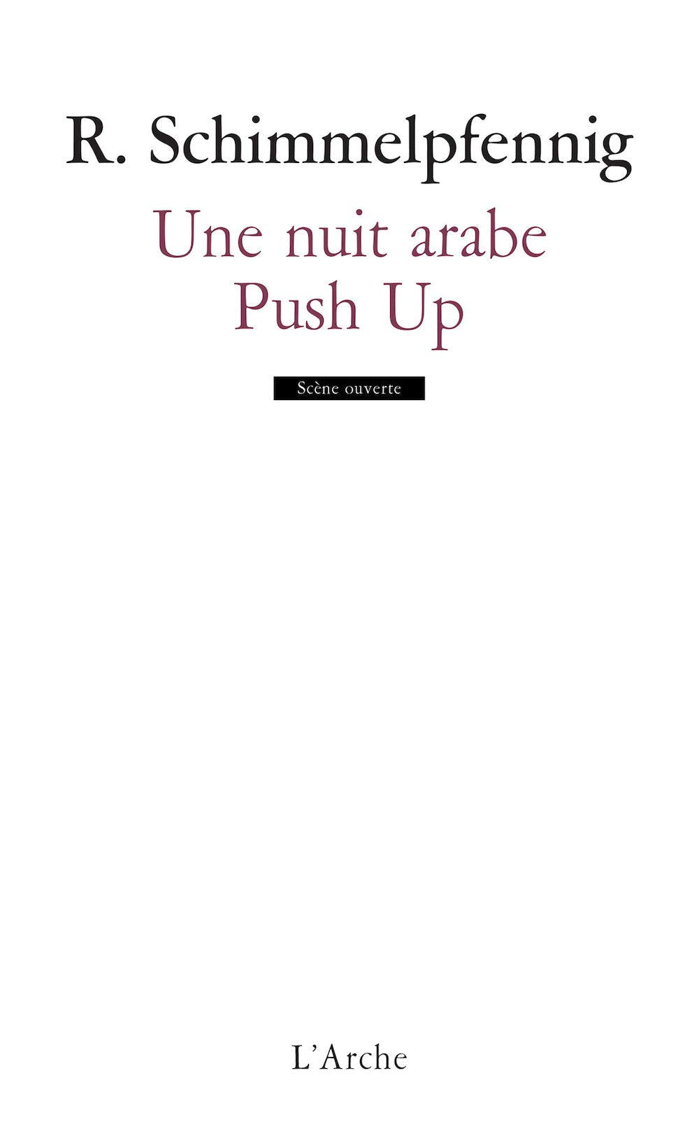 Une nuit arabe / Push Up 9782851815231