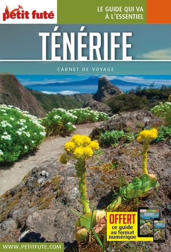 Guide Ténérife 2017 Carnet Petit Futé 9791033101796