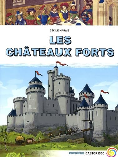LES CHATEAUX FORTS 9782081209688