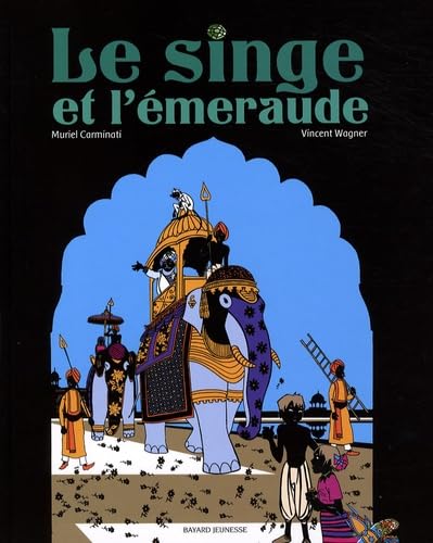 Le singe et l'émeraude 9782747024860