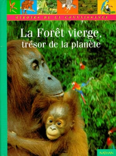 La forêt vierge 9782092403808
