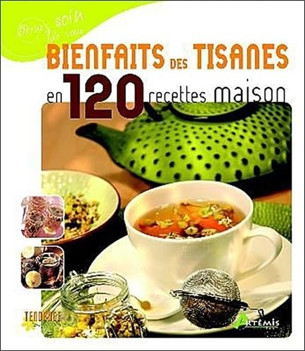 Bienfaits des tisanes en 120 recettes maison 9782844167101