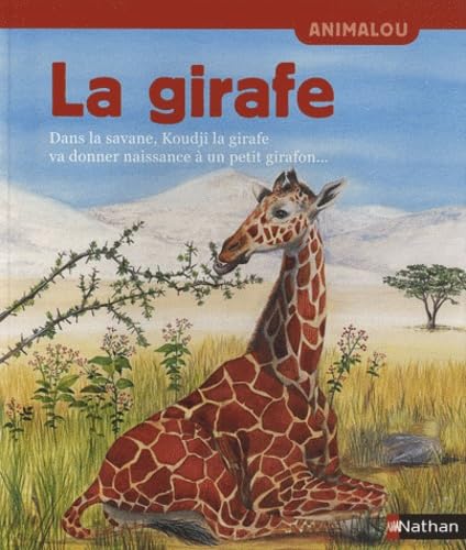 La girafe 9782092531242