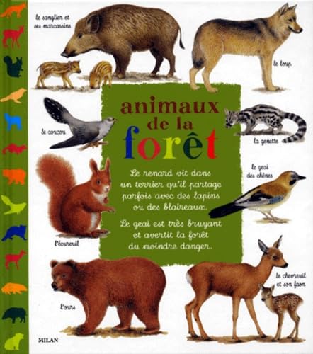 Animaux de la forêt 9782841137626