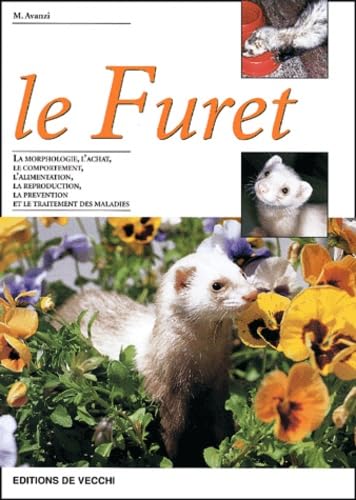 Le Furet 9782732825779