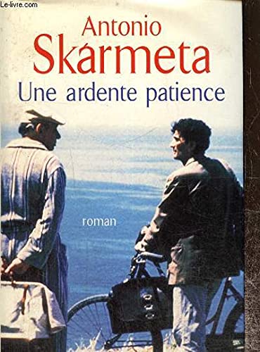 Une ardente patience 9782298007251