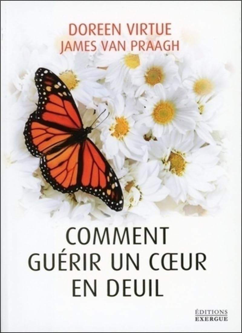 Comment guerir un coeur en deuil 9782361881368
