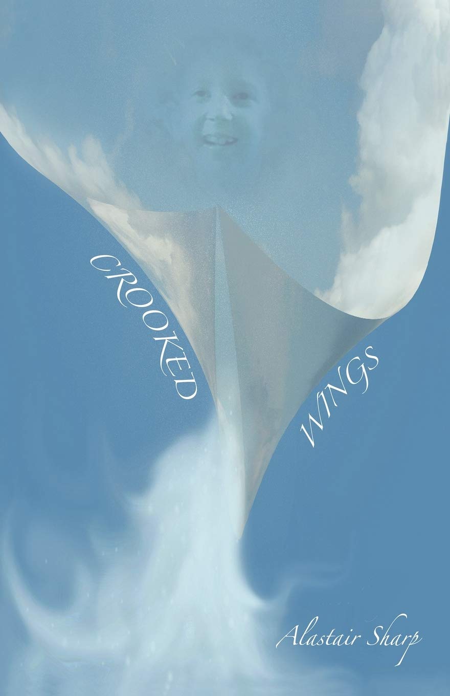 Crooked Wings: A Novel 9781462008094