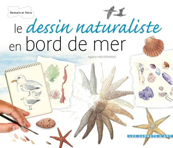 Le dessin naturaliste - Bords de mer 9782295004109