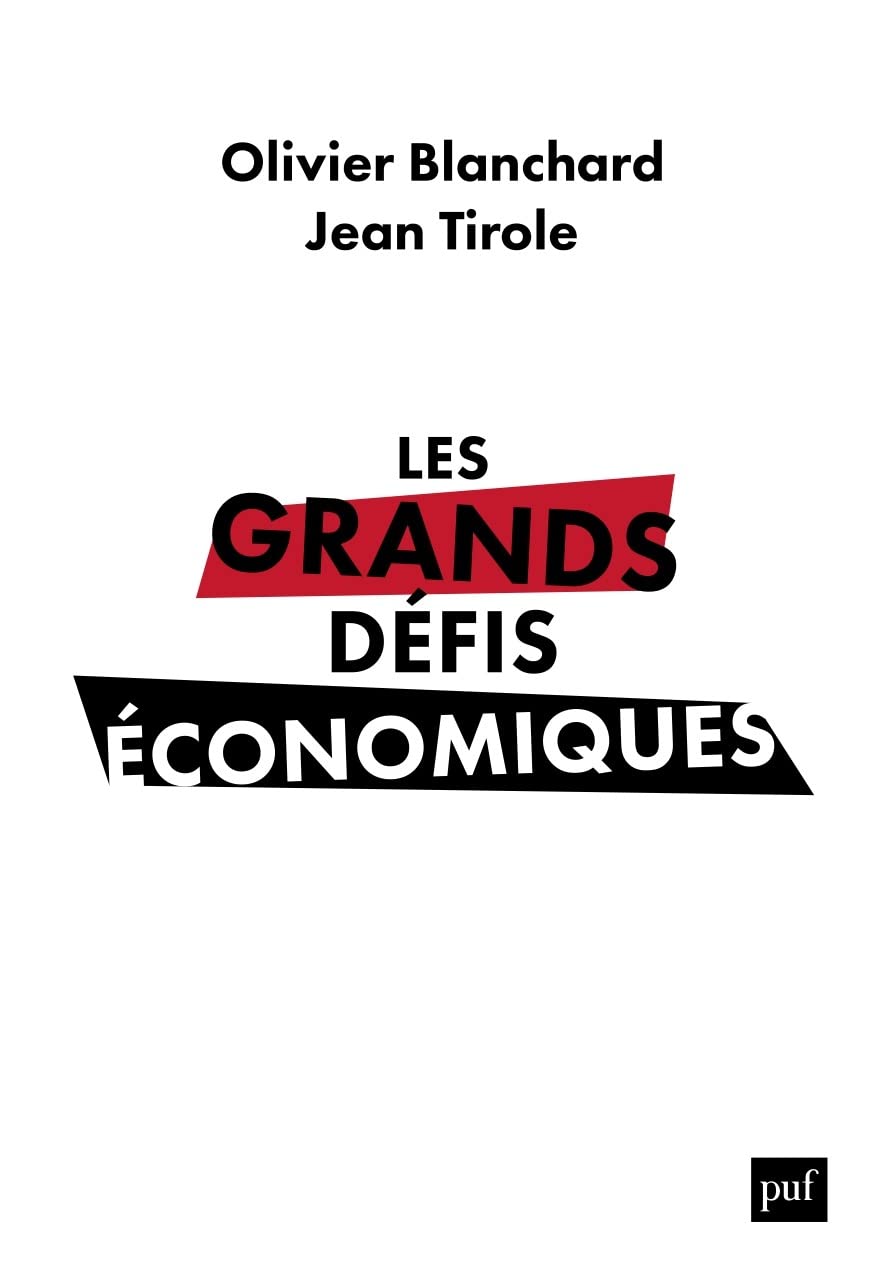 Les grands défis économiques: L'urgence du long terme 9782130838043