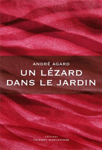 Un lézard dans le jardin 9782362800047