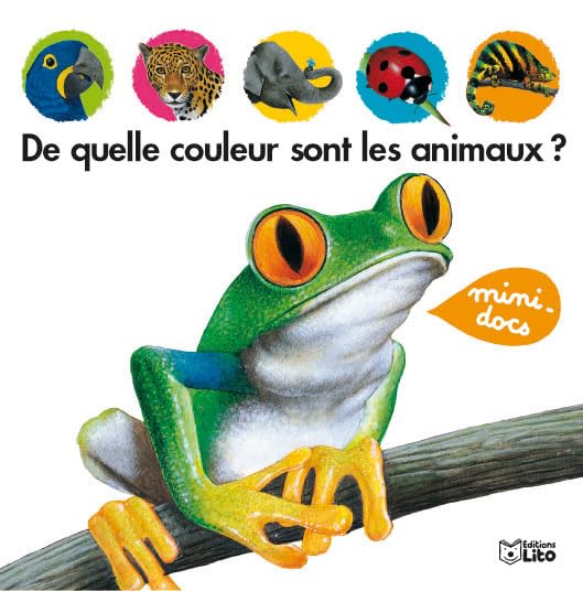De quelle couleur sont les animaux ? 9782244363042