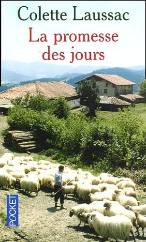 La promesse des jours 9782266132138