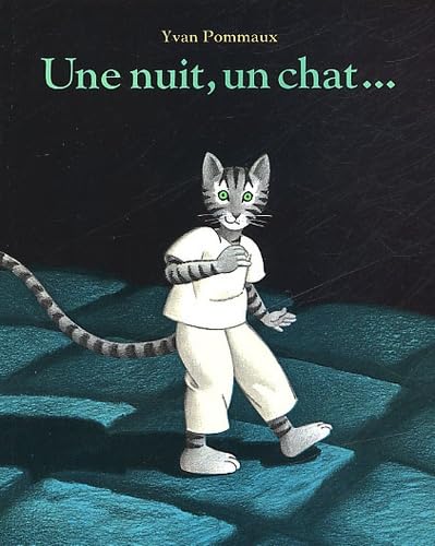 Une nuit, un chat 9782211033206