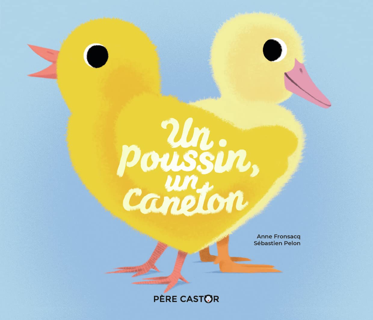 (NE) UN POUSSIN, UN CANETON (HISTOIRES DU PERE CASTOR) 9782081497689