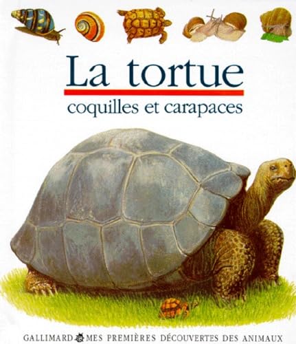 La tortue 9782070357277