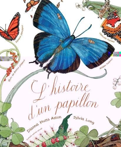 L'histoire d'un papillon 9782878336023