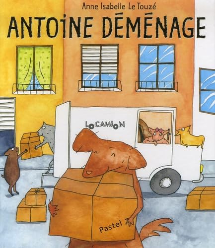antoine demenage 9782211085694
