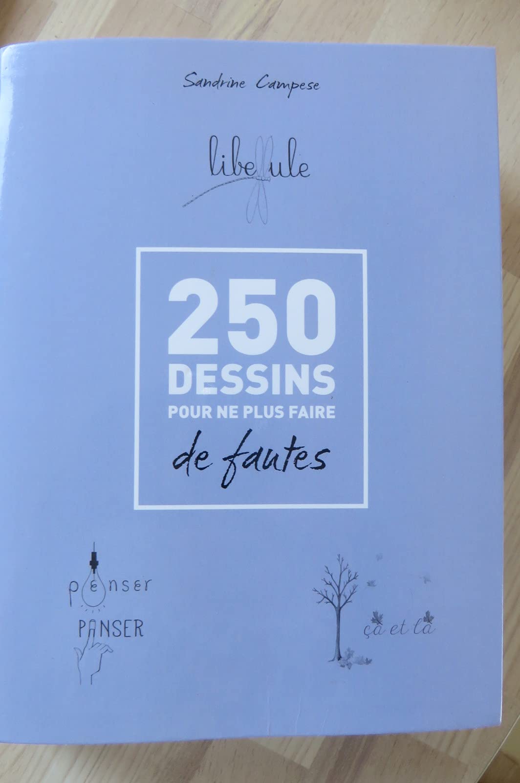 250 Dessins Pour Ne Plus Faire De Fautes 9782360754816