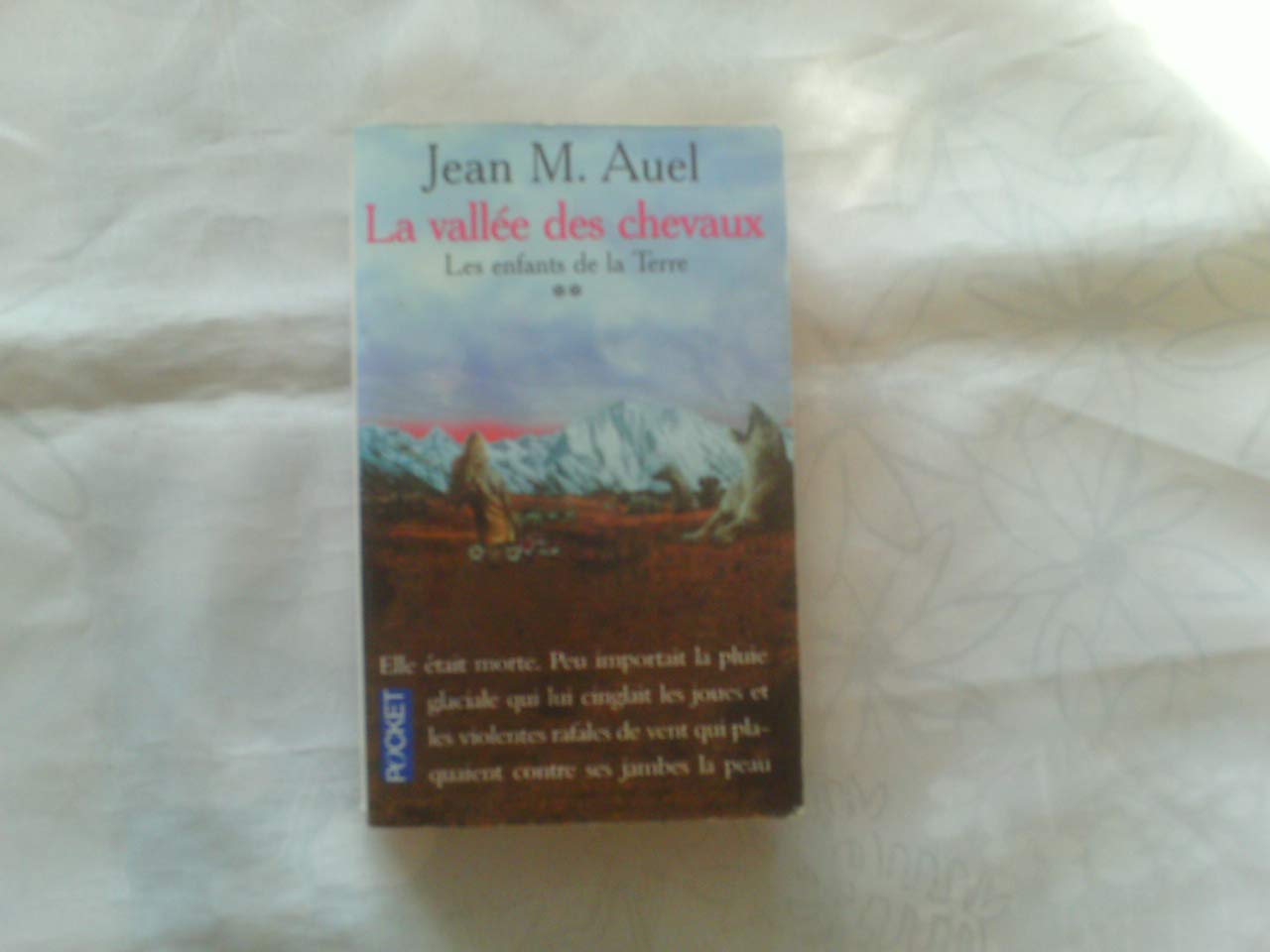 Les Enfants de la terre, tome 2 : la vallée des chevaux 9782266004114