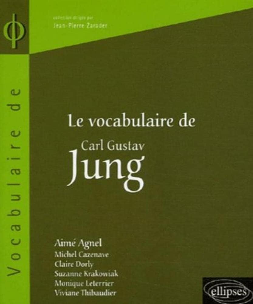Le vocabulaire de Jung 9782729825997