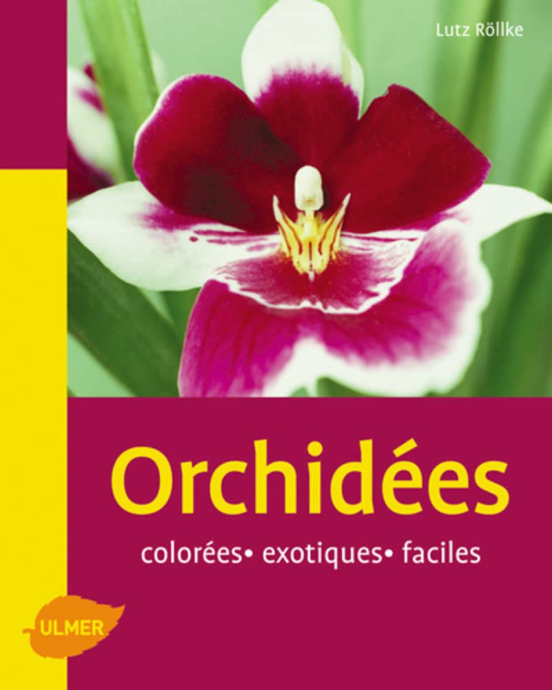 Orchidées 9782841382675