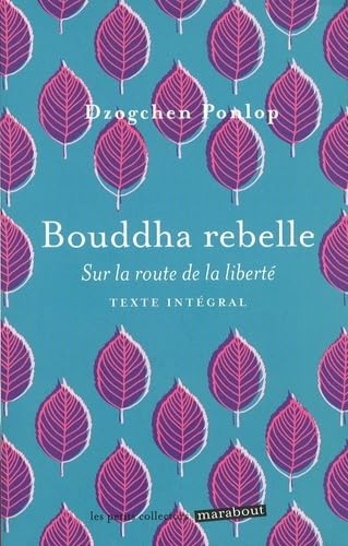 Bouddha rebelle: Sur la route de la liberté 9782501115049