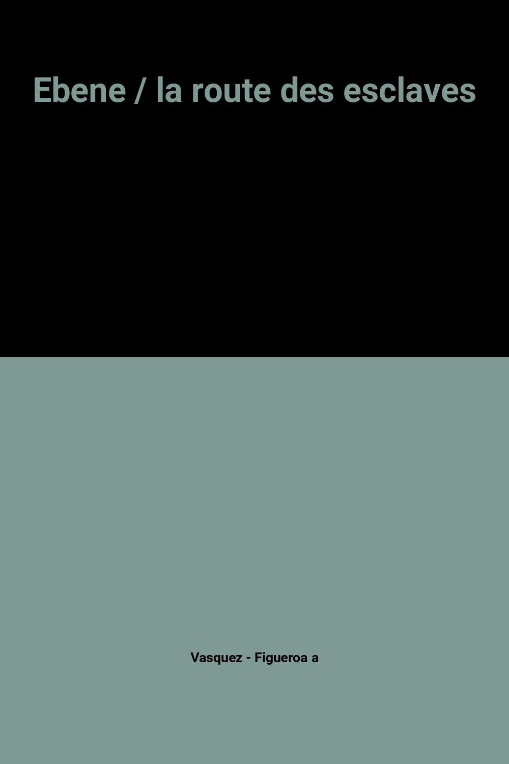 Ébène : la route des esclaves 9782080609540