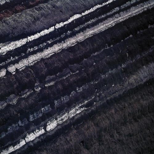 Pessimiste(S) 4024572482411