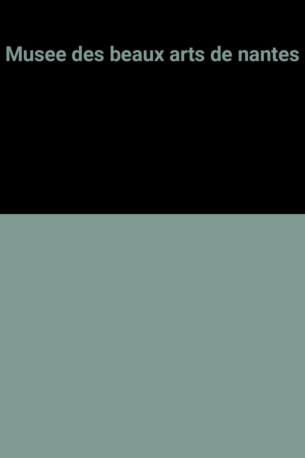 Musee des beaux arts de nantes 9782711828883